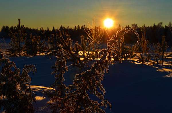 Invierno en Norrbotten