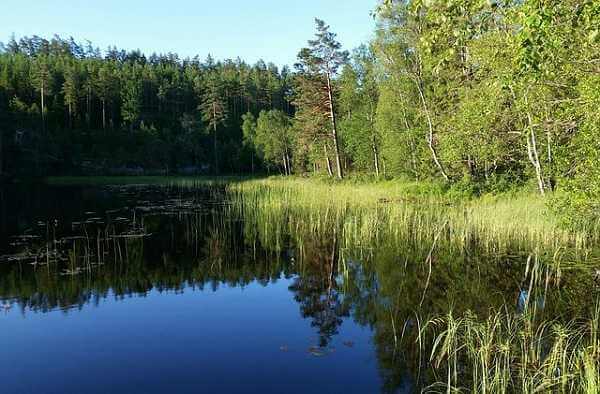Canal de Dalsland en Suecia - paisaje
