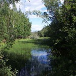 Parque Nacional Tyresta, excursión desde Estocolmo